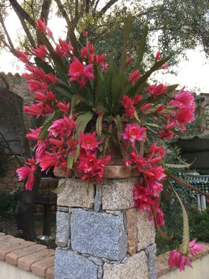 Pedras House Holidays Villa Santa Maria Navarrese Exterior foto